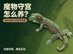 魔物守宫怎么养，进阶树栖守宫饲养指南