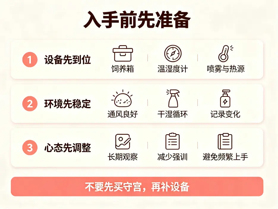 魔物守宫入手准备事项