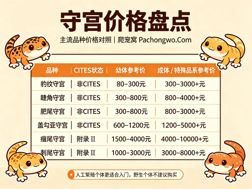 主流守宫价格盘点对照表