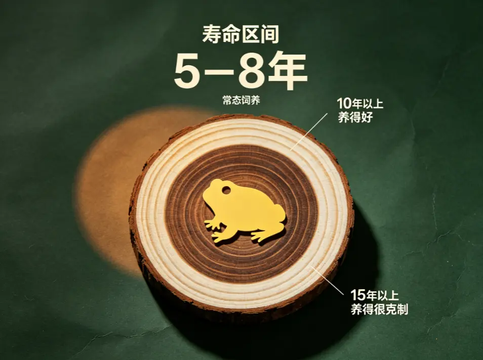 角蛙能活多久:先看结论