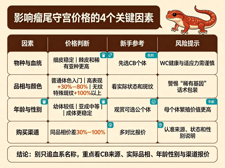 影响瘤尾守宫价格的 4 个关键因素