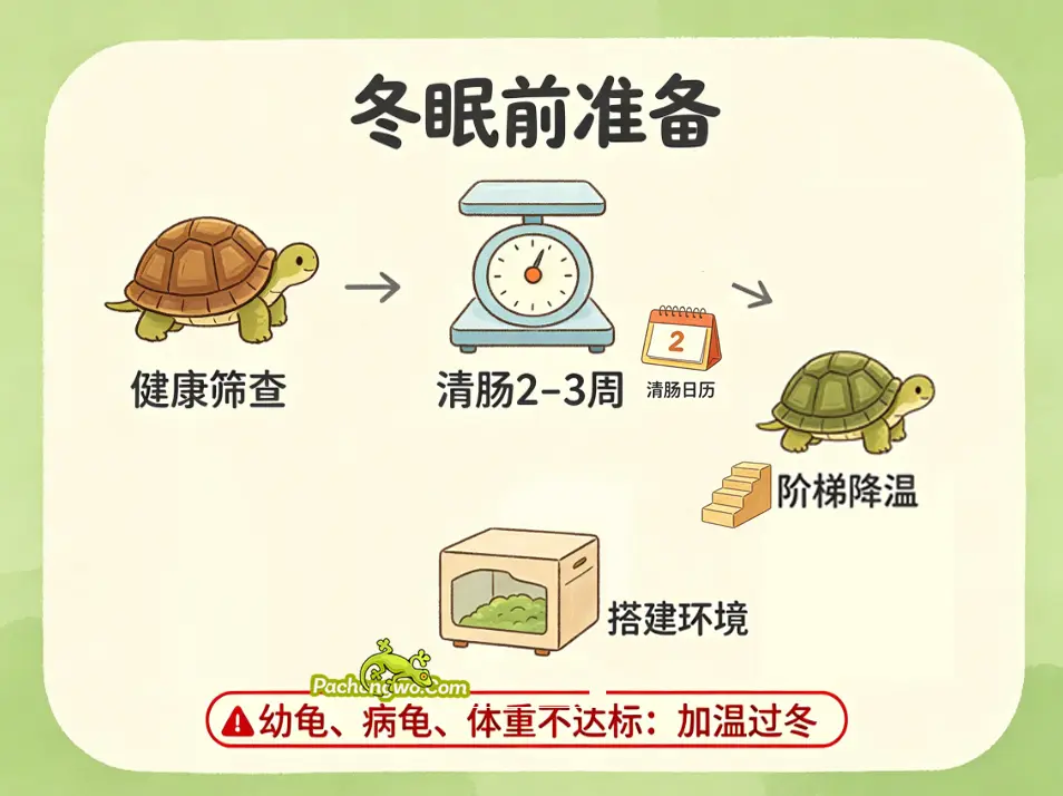 冬眠前准备：四步不可跳过的流程