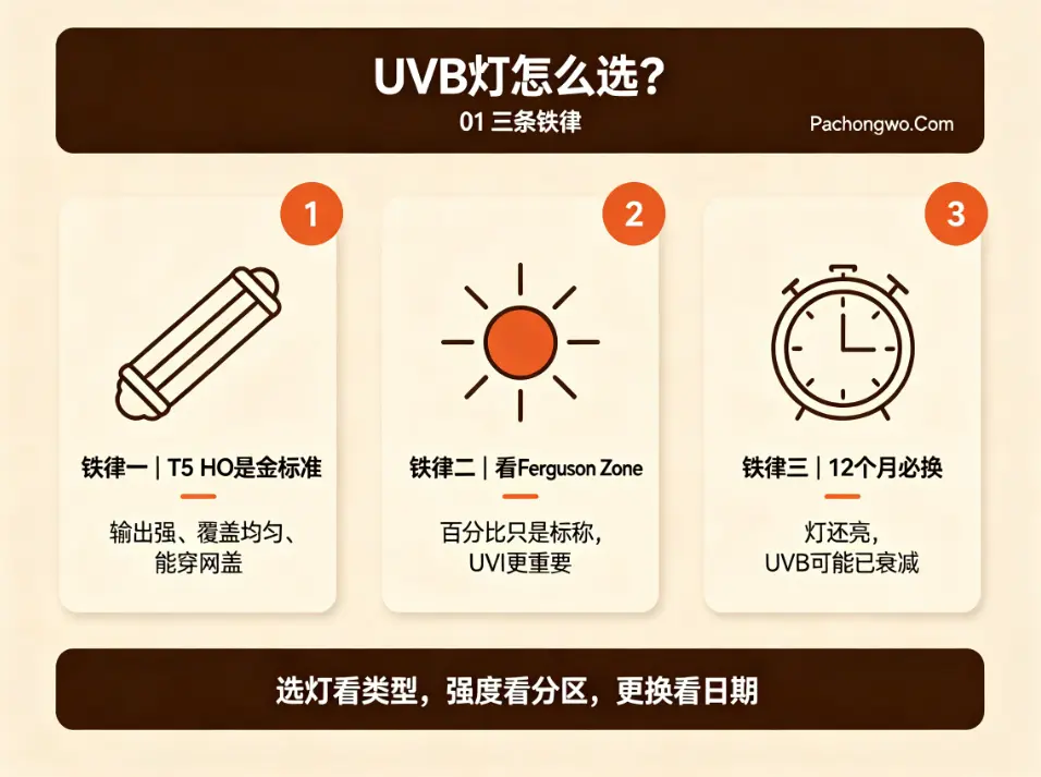 UVB灯怎么选？三条铁律