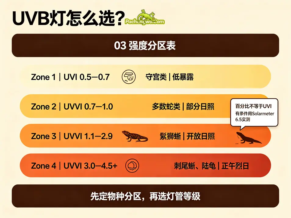 UVB灯怎么选？强度区分表