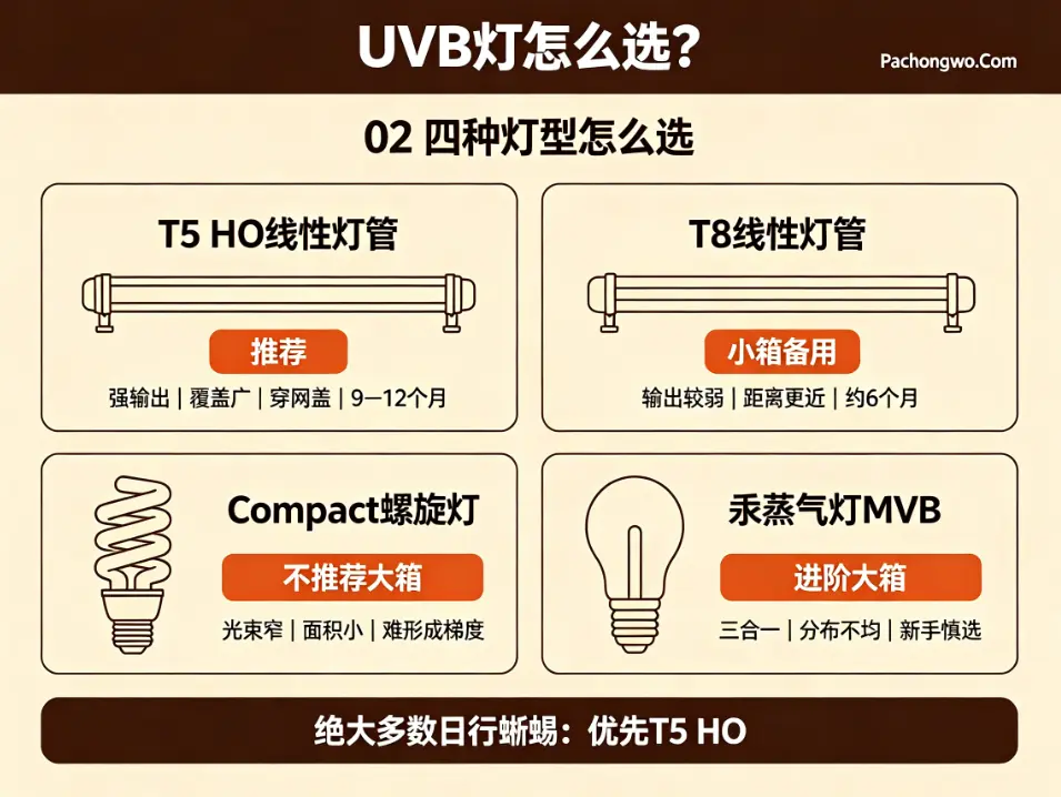 UVB灯 四种灯型怎么选