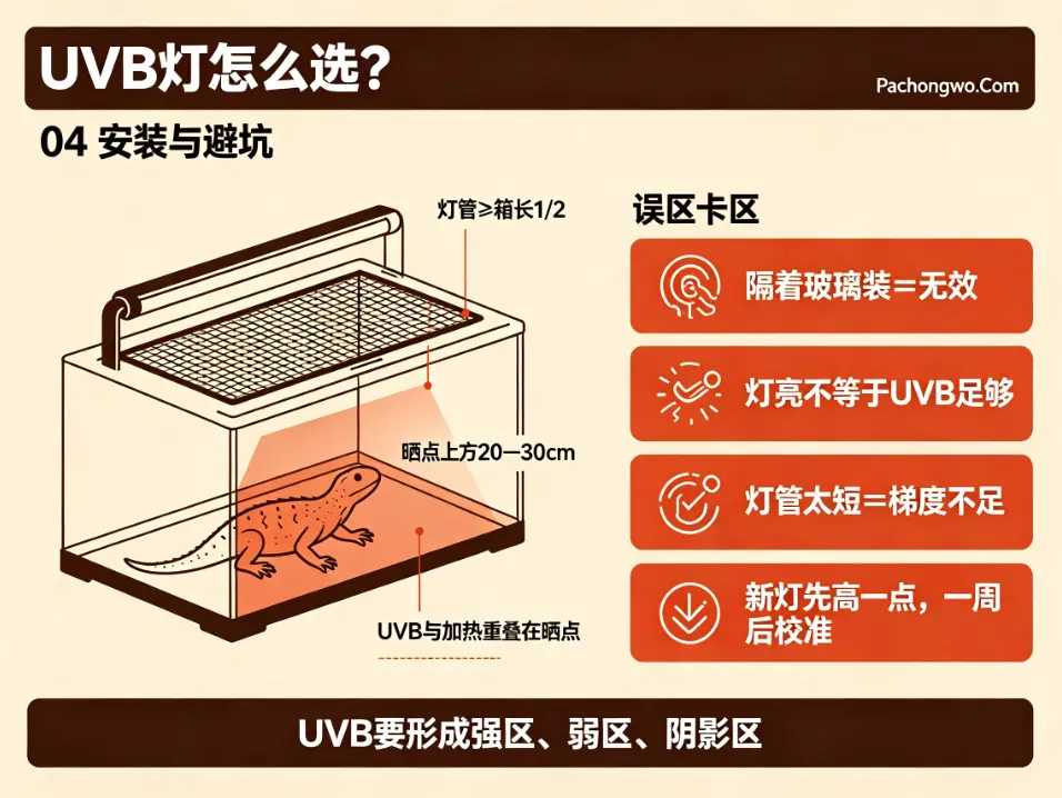 UVB灯 安装与避坑