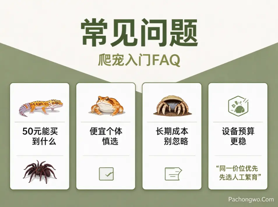 入门爬宠推荐，新手选爬常见问题FAQ