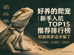 好养的爬宠 | 新手入坑TOP15推荐排行榜