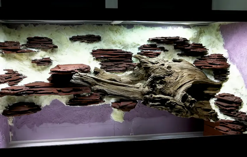 鬃狮蜥造景成品全景：175×97×71cm 缸体，砖块背景墙延伸连接沉木，形成多层攀爬纵深